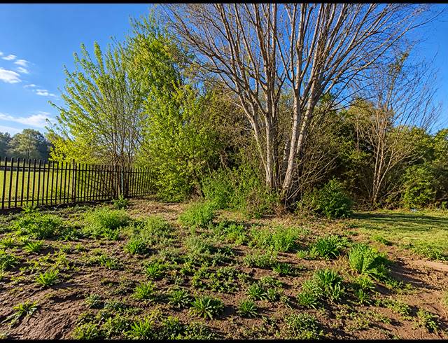 1,672M² VACANT LAND FOR SALE IN ROTHDENE